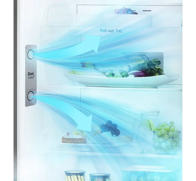 493L Top-Freezer 16 door cooling 2