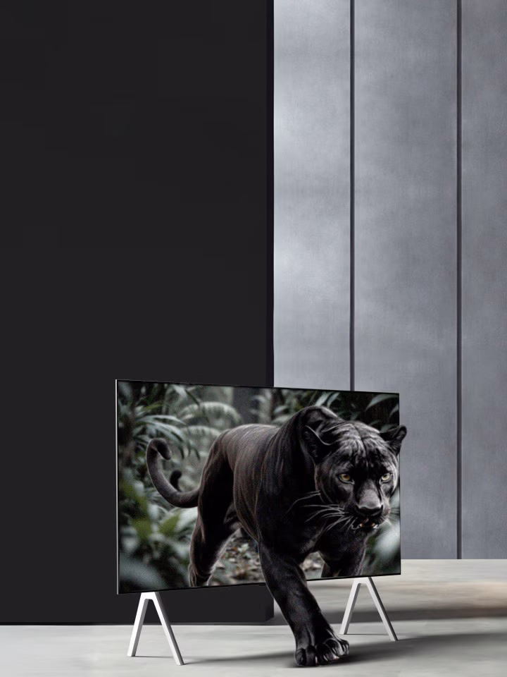 Why LG Ai TV 7 Play