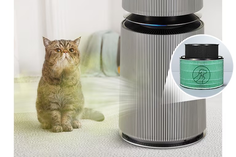 360° Alpha-Pet Dual 26 puricare360 alpha pet 10 2 pet filter d