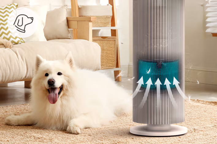 LG HIT AIR PURIFIER LG HIT AIR PURIFIER