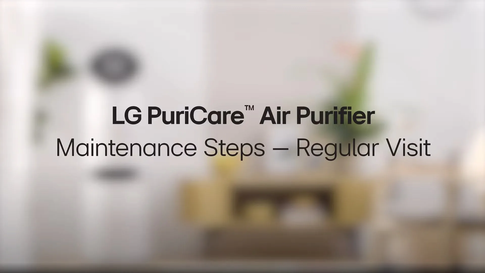 360° Alpha-Pet Single Purifier 6 Play