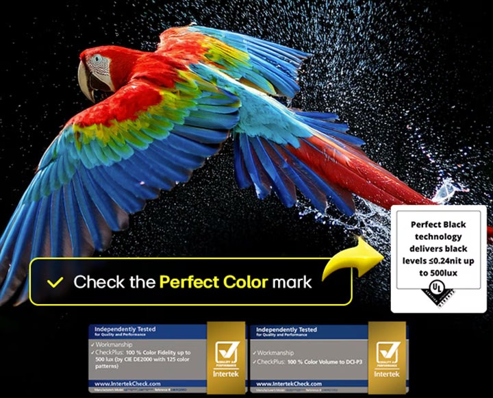 imgi 31 oled b5 2025 05 feature perfect color m