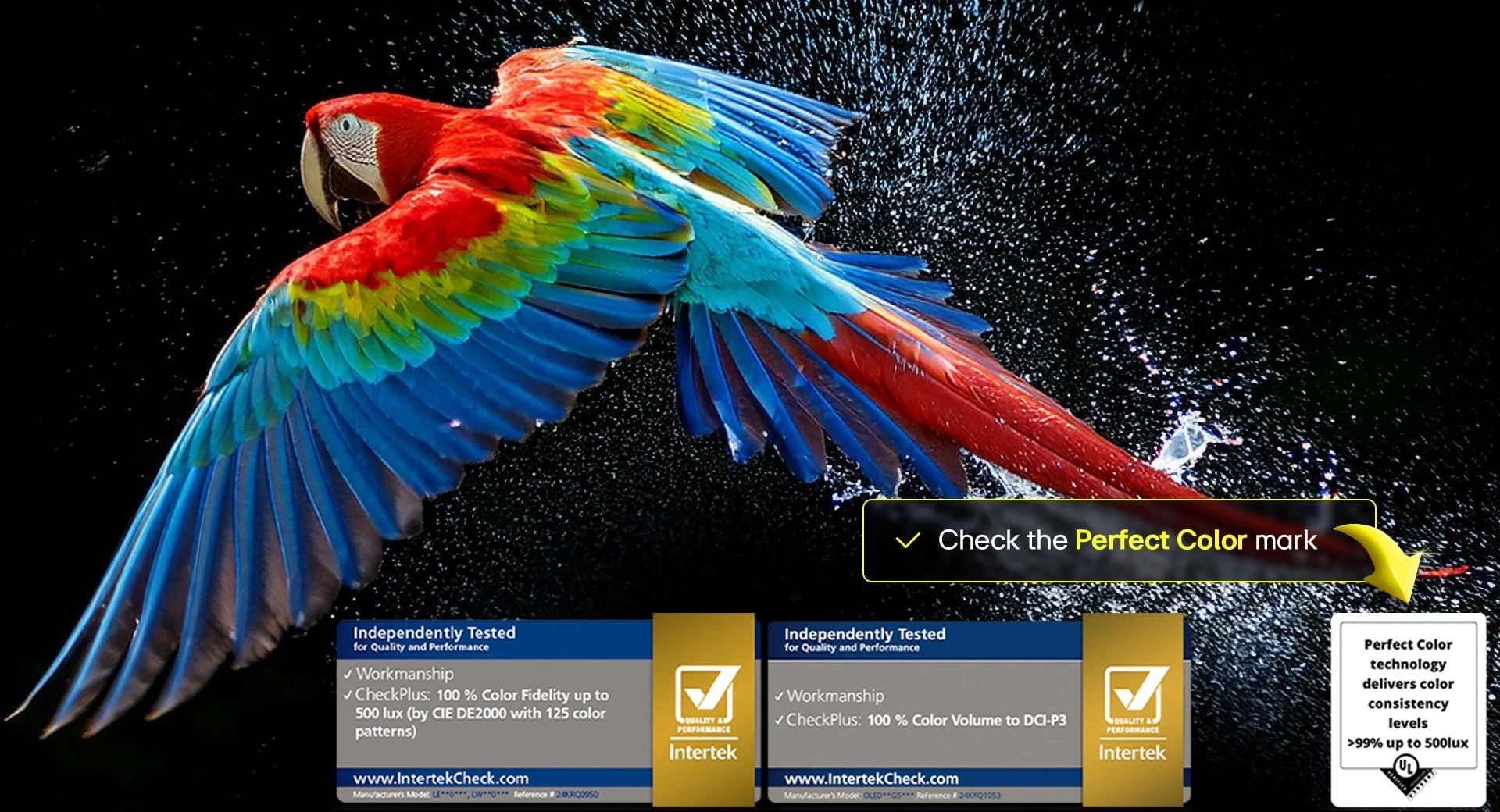imgi 79 oled b5 2025 05 feature perfect color d